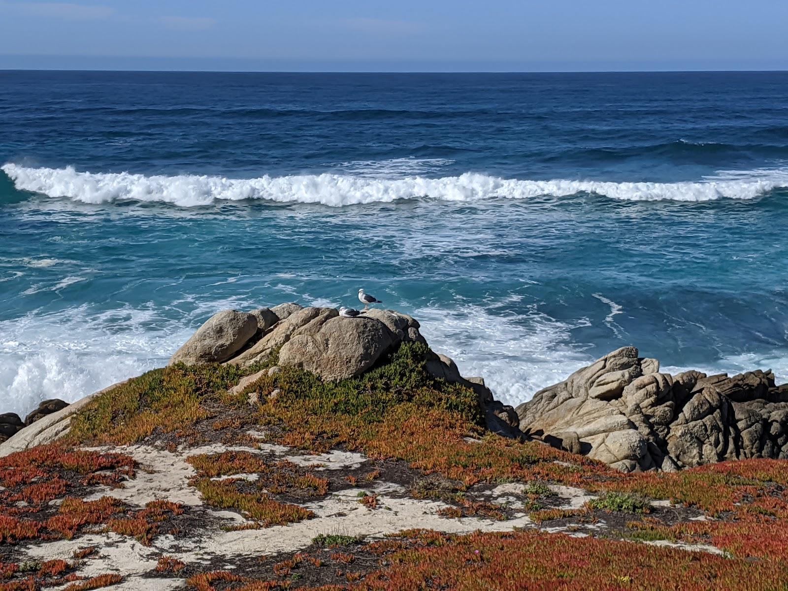 Photo of Monterey Peninsula