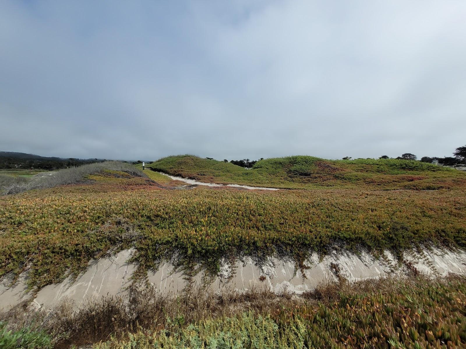 Photo of Monterey Peninsula