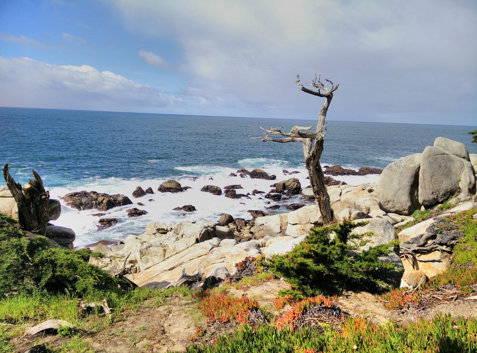 Photo of Monterey Peninsula