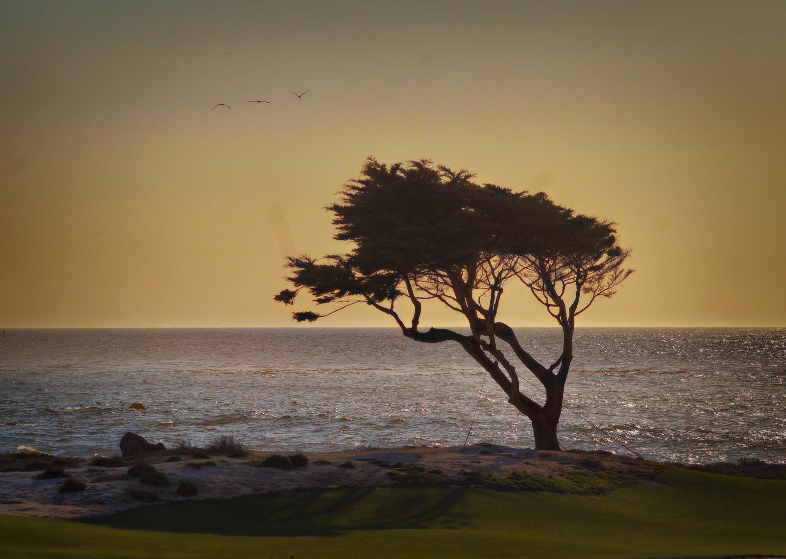 Photo of Cypress Point Club