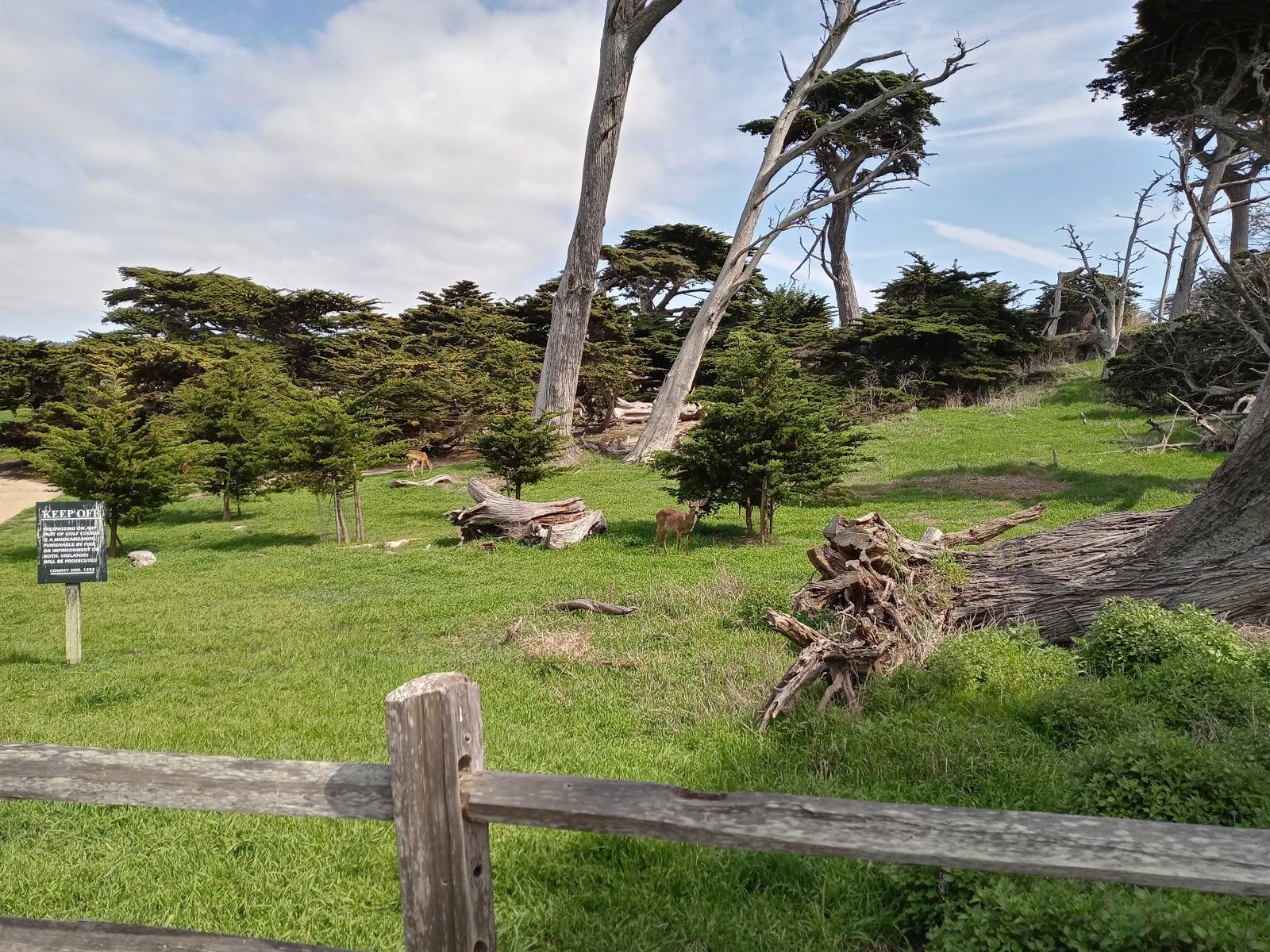 Photo of Cypress Point Club