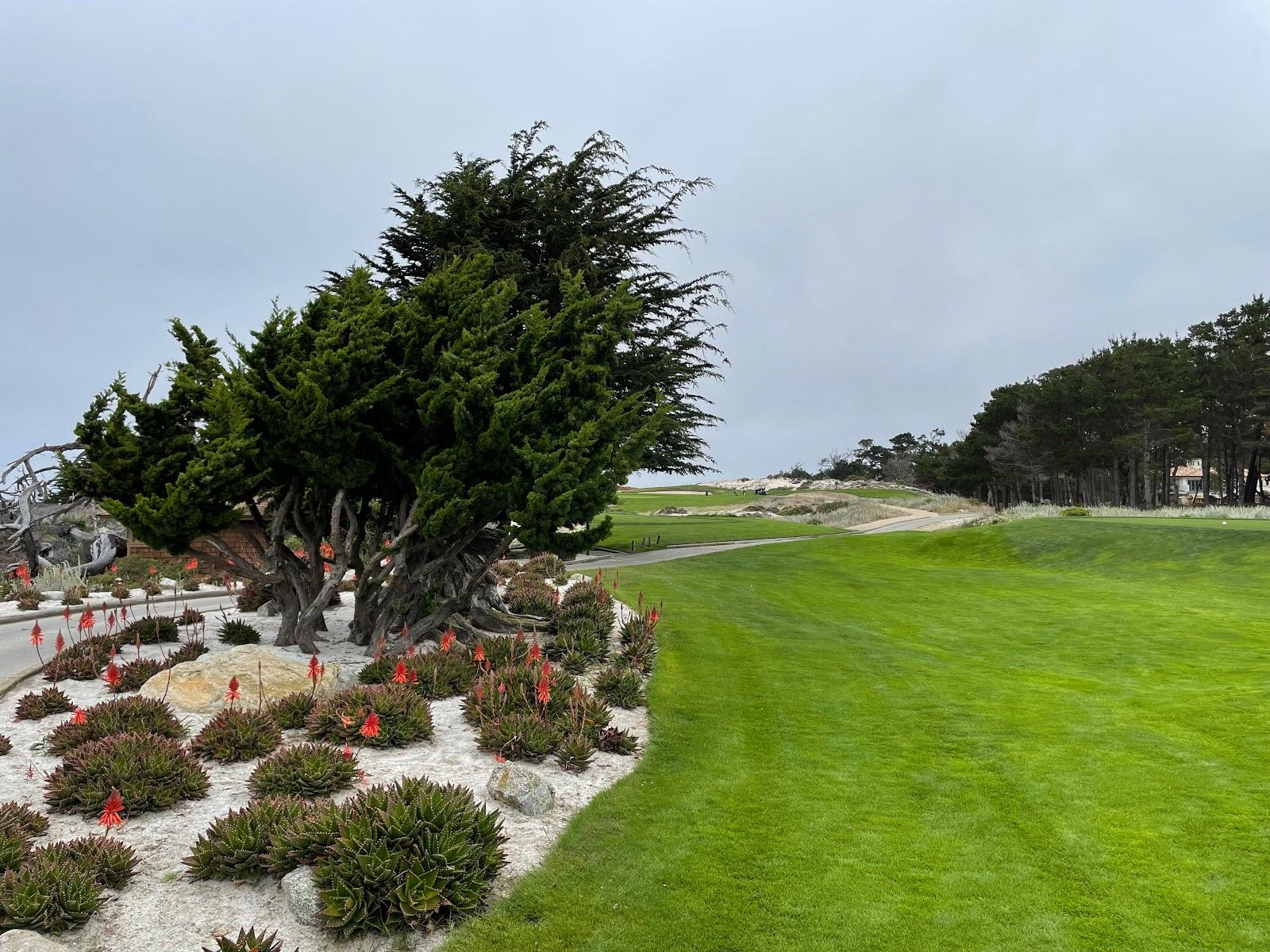 Photo of Spyglass Hill Golf Course