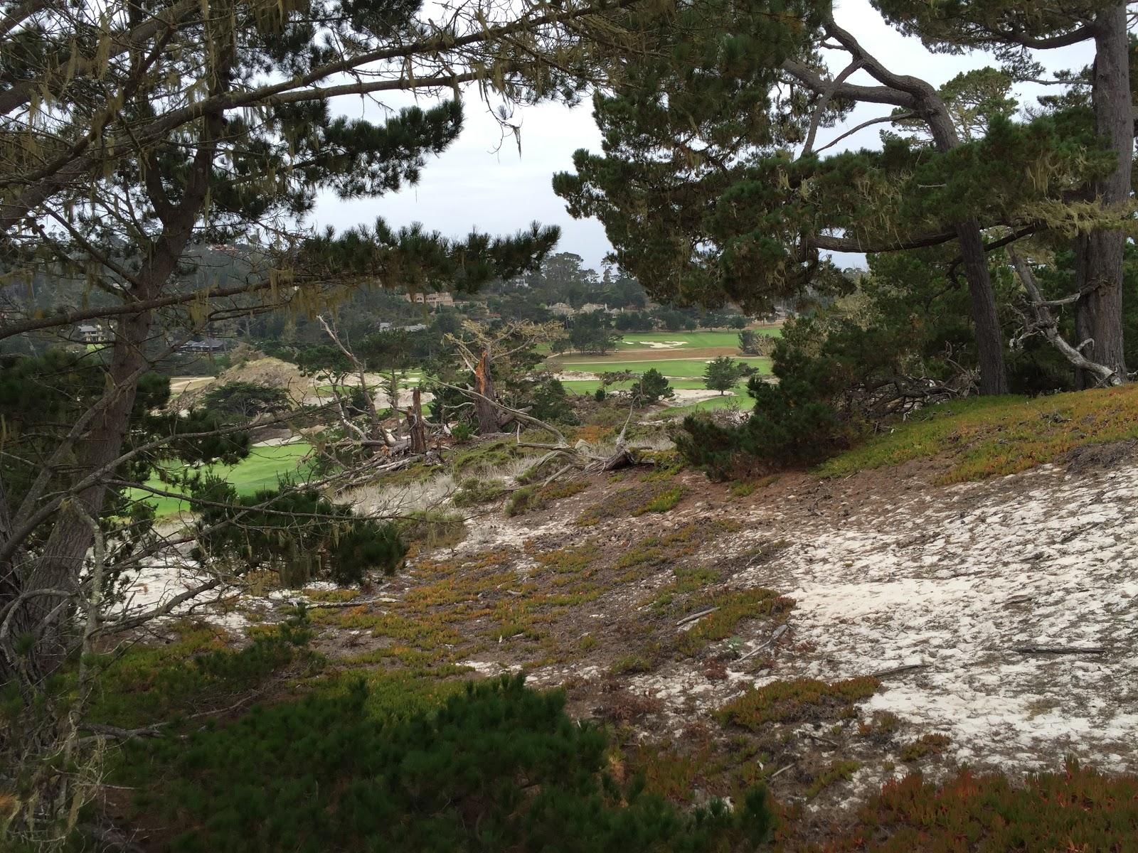 Photo of Spyglass Hill Golf Course