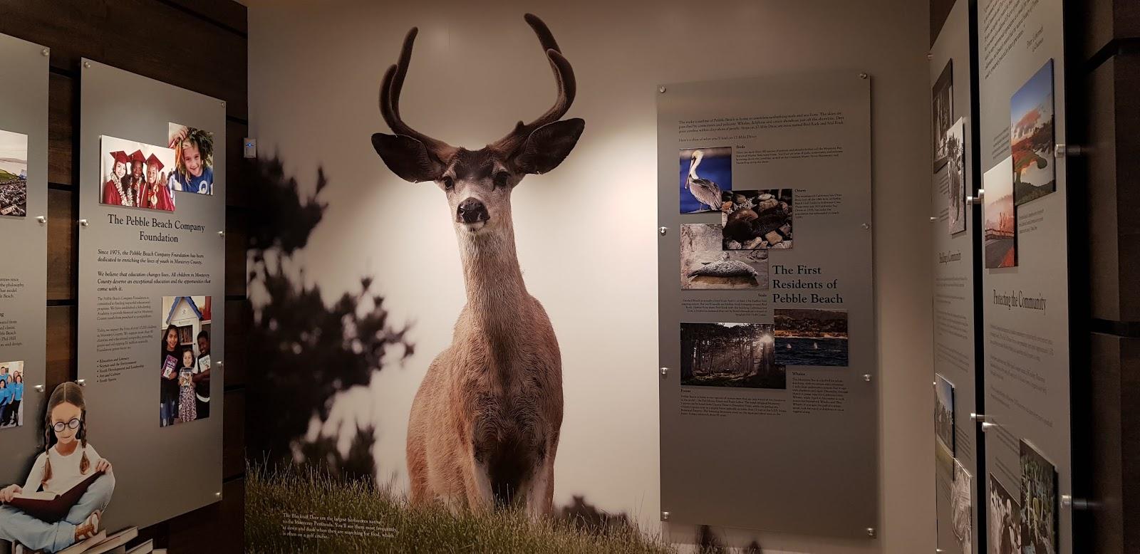 Photo of Pebble Beach Retail Pro Shop