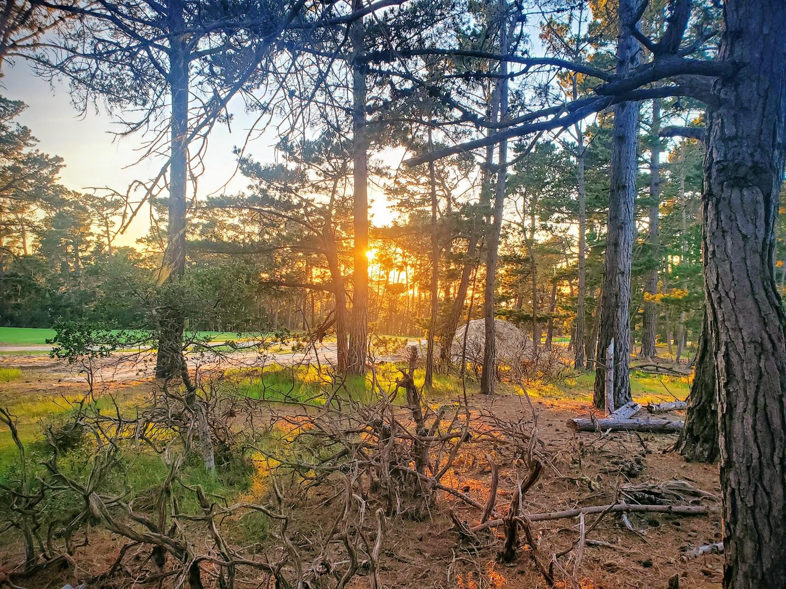 Photo of Poppy Hills Golf Course