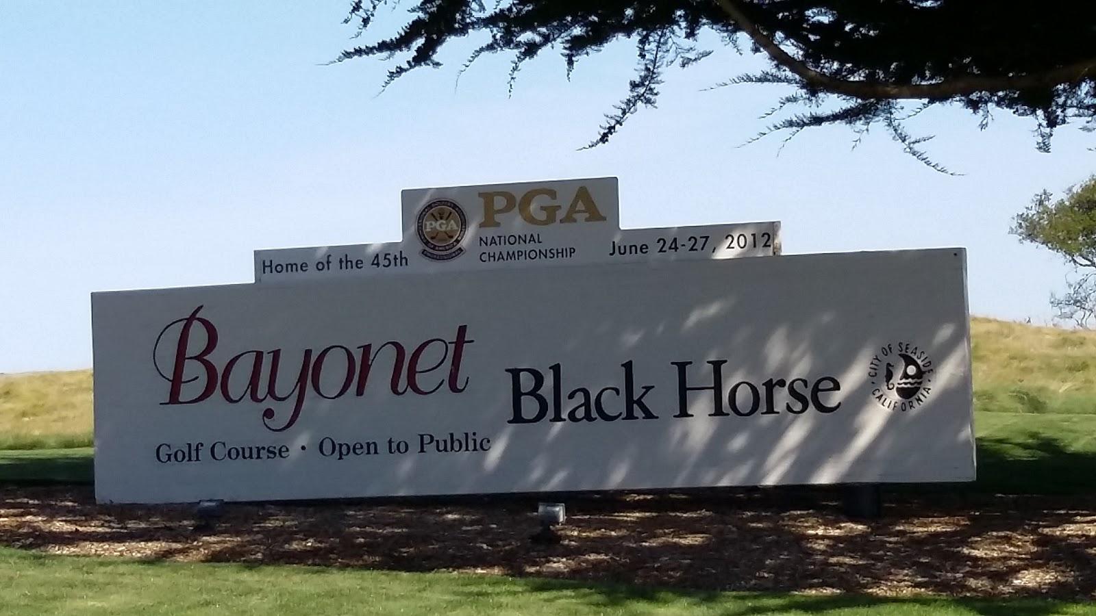 Photo of Bayonet & Black Horse