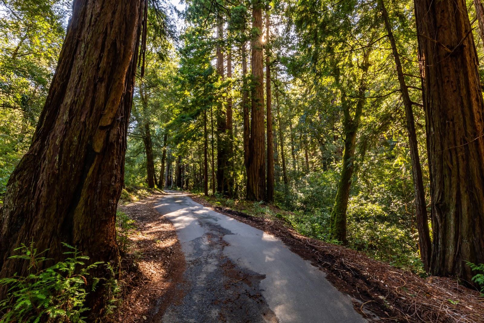 Photo of Santa Lucia Preserve