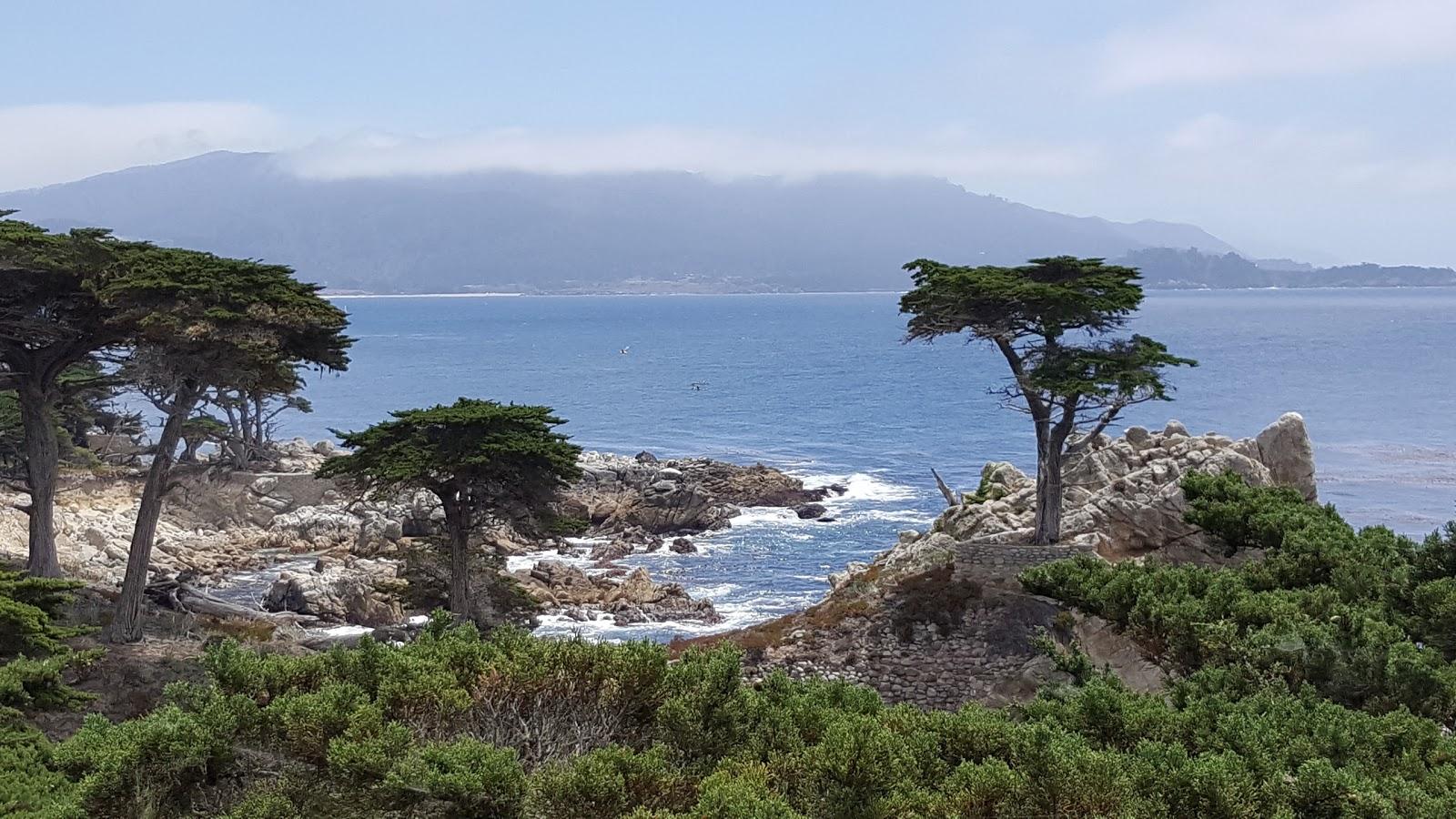 Photo of Lone Cypress Shop