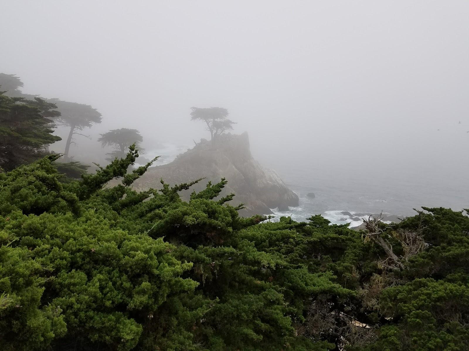 Photo of Lone Cypress Shop