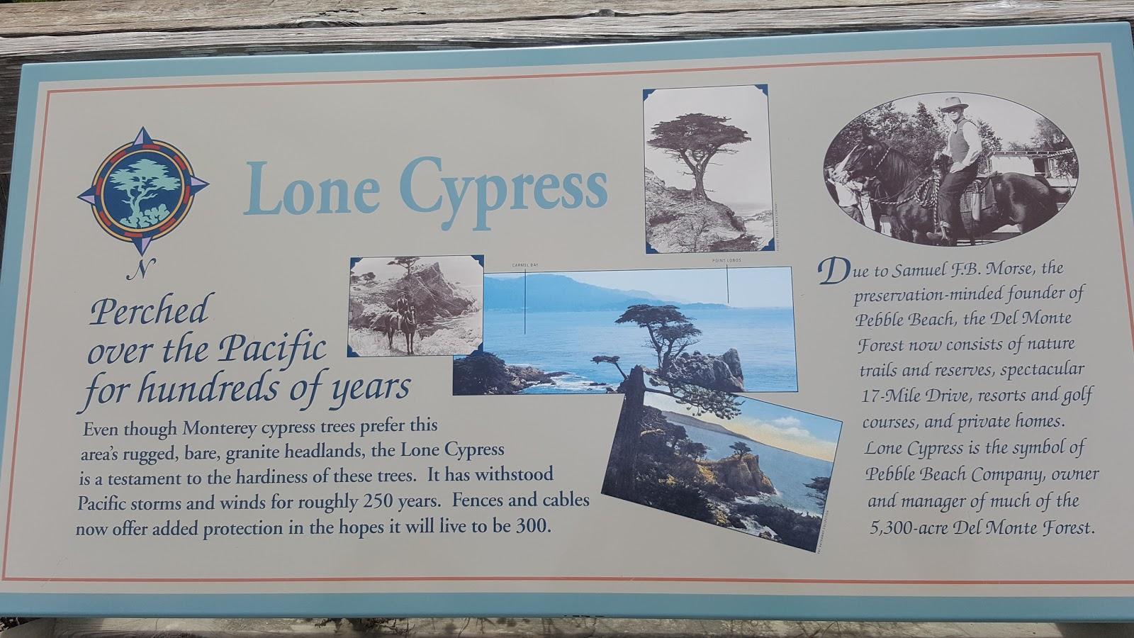 Photo of Lone Cypress Shop