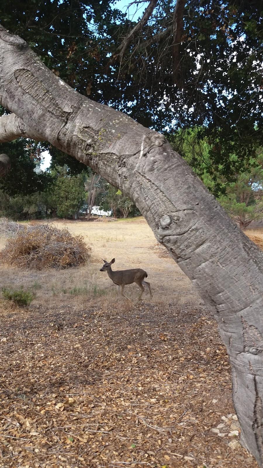 Photo of Laguna Seca Golf Ranch