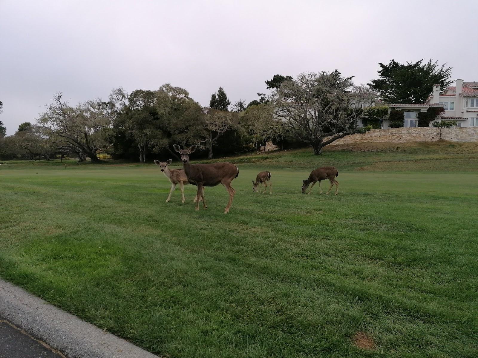 Photo of Pebble Beach Hole 1