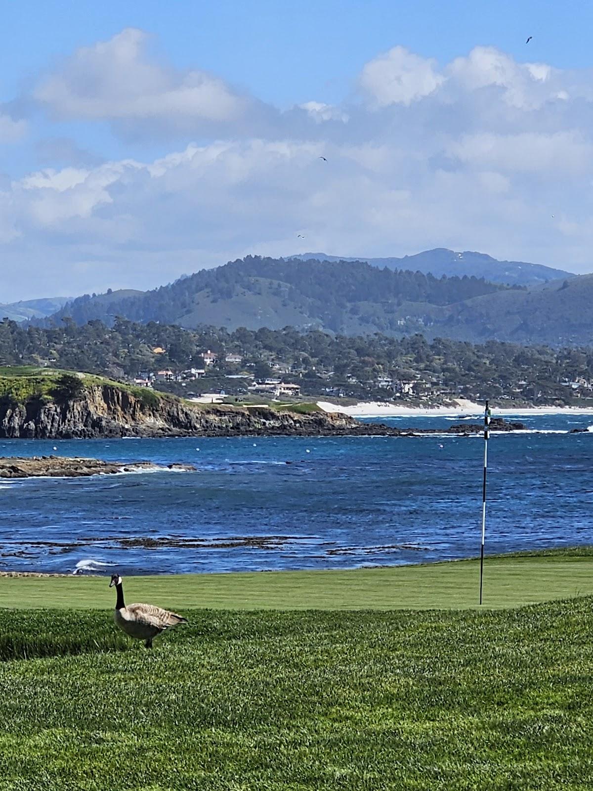 Photo of Pebble Beach Hole 14