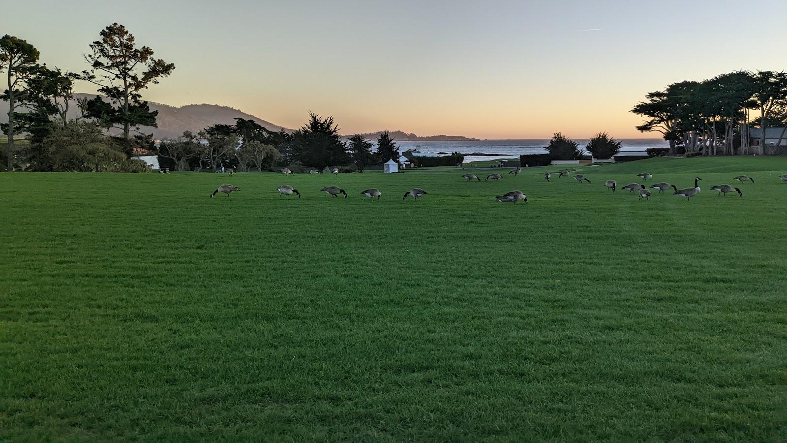 Photo of Pebble Beach Hole 14