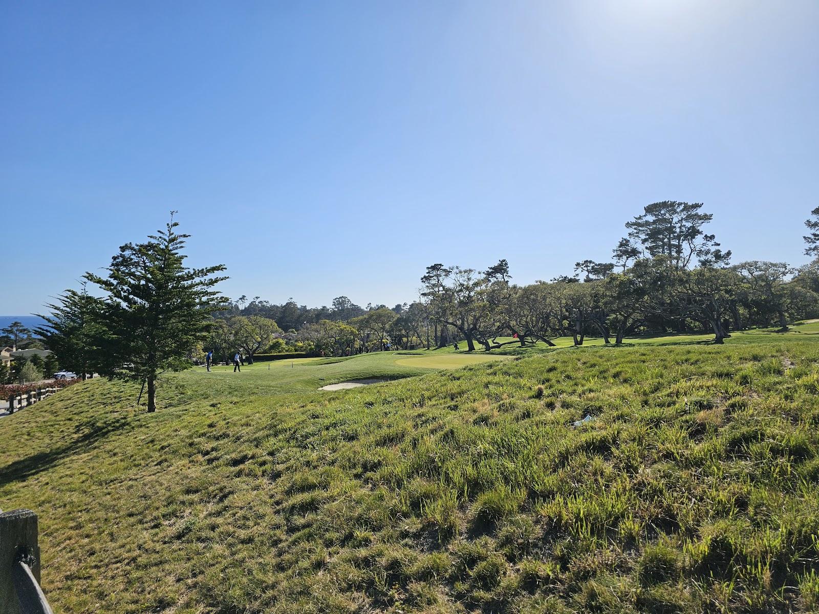 Photo of The Hay