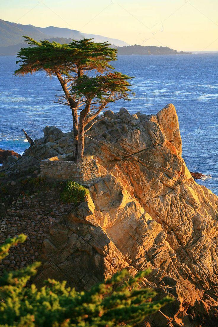 Photo of Pebble Beach Golf Links