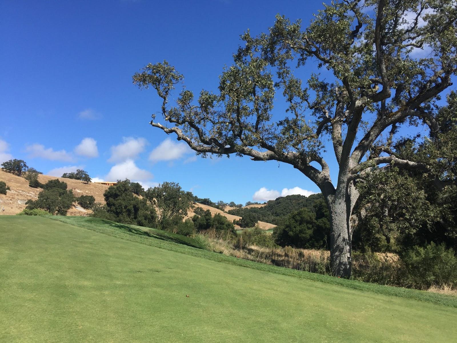 Photo of The Preserve Golf Club