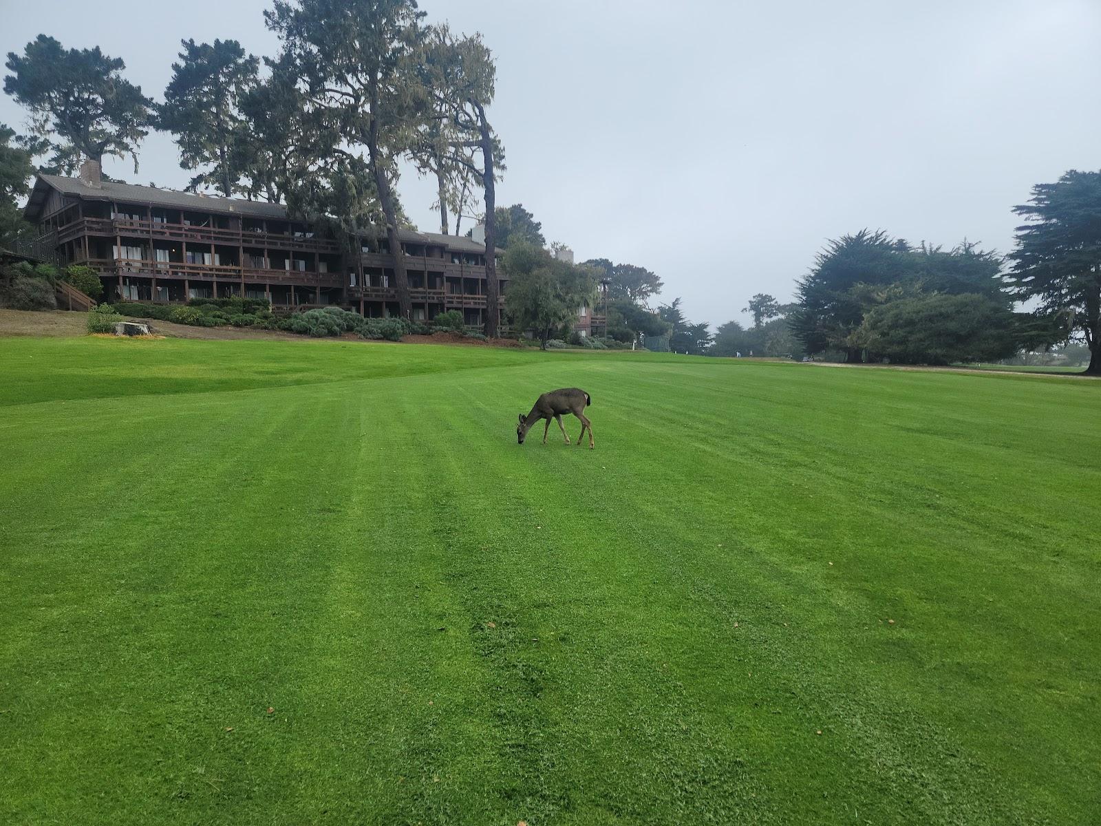 Photo of Pacific Grove Golf Links