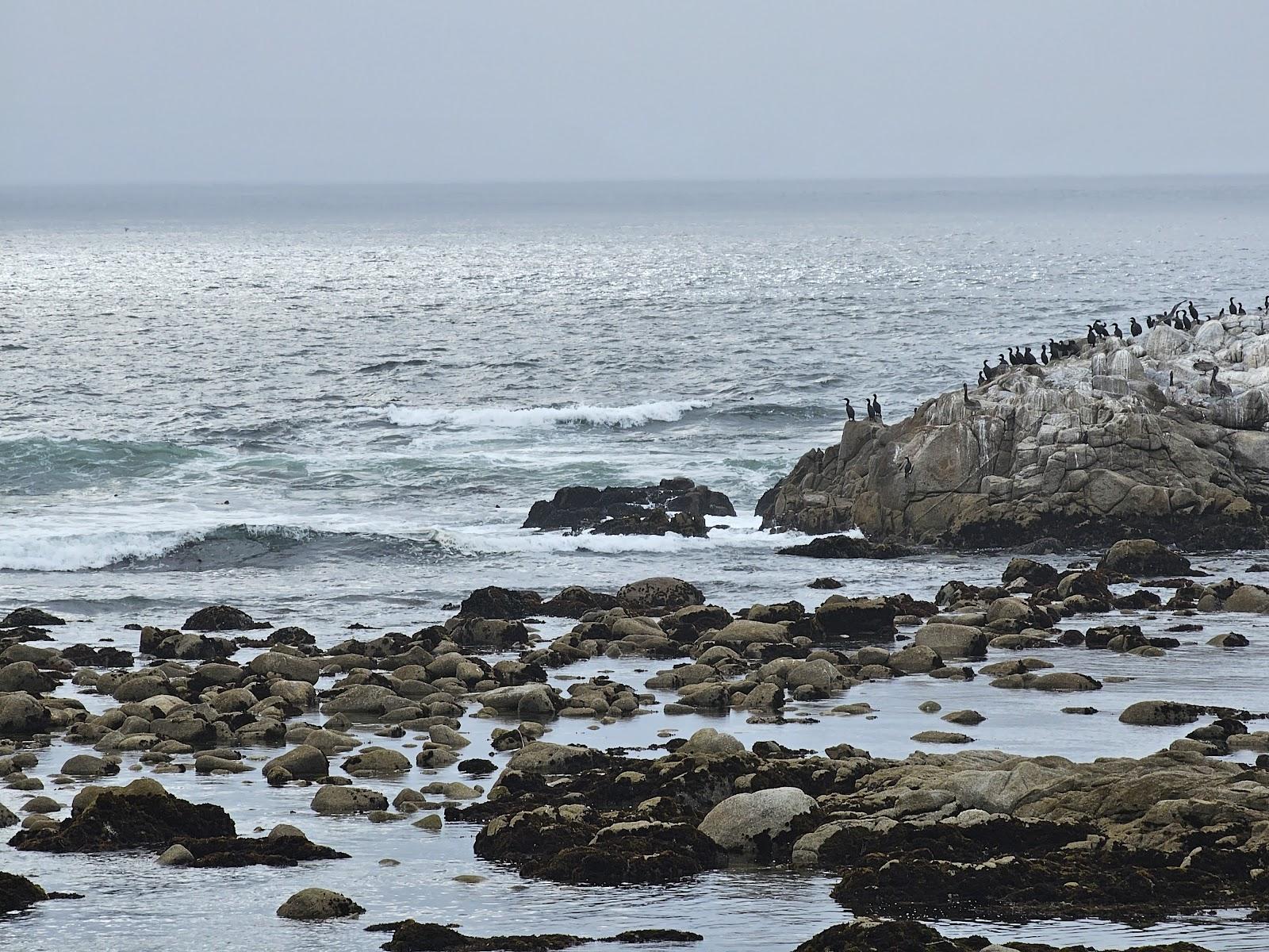 Photo of Pacific Grove Golf Links