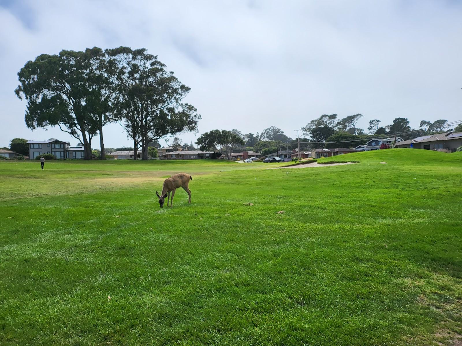 Photo of Pacific Grove Golf Links