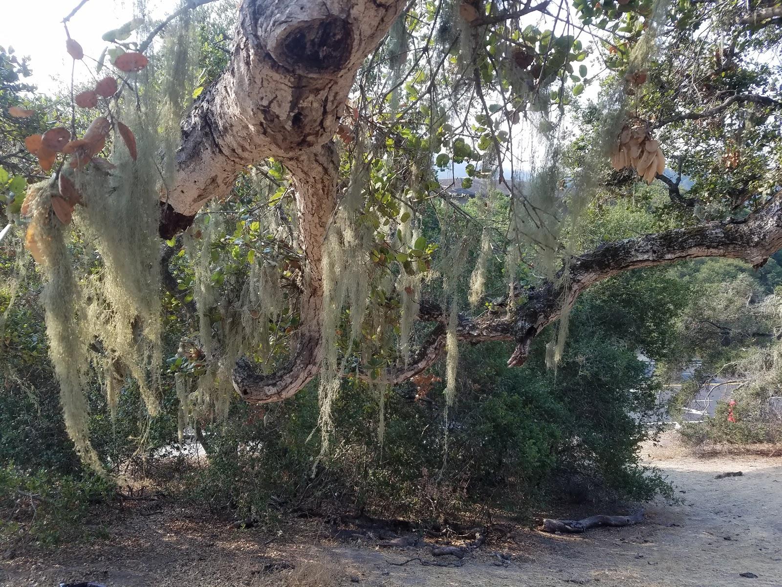 Photo of Ryan Ranch Disc Golf Course