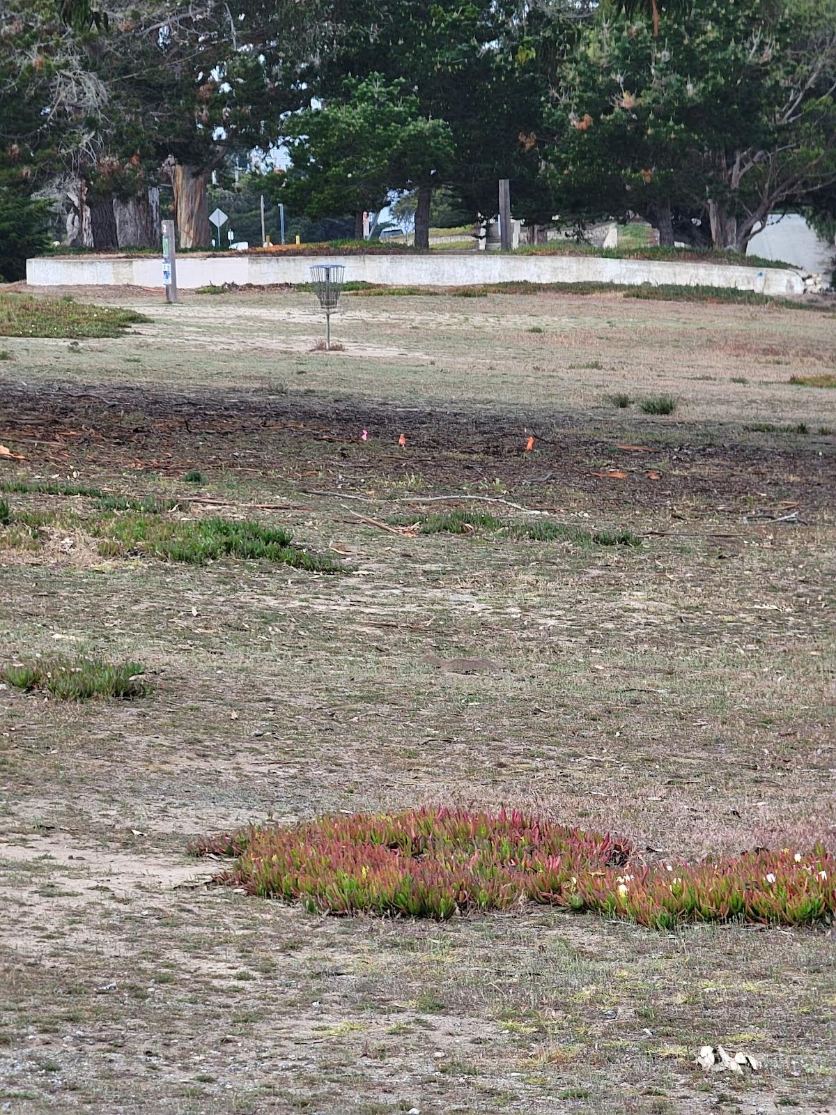 Photo of CSUMB Cypress Disc Golf Course