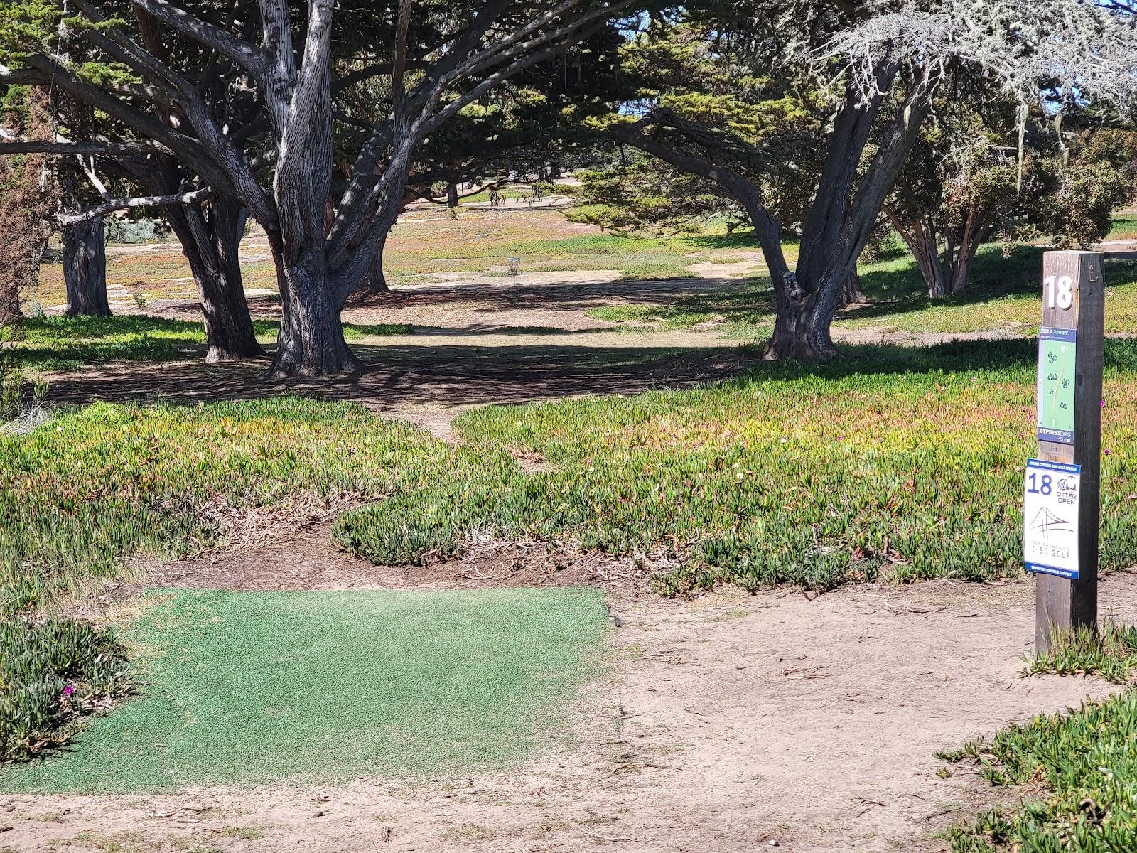 Photo of CSUMB Cypress Disc Golf Course