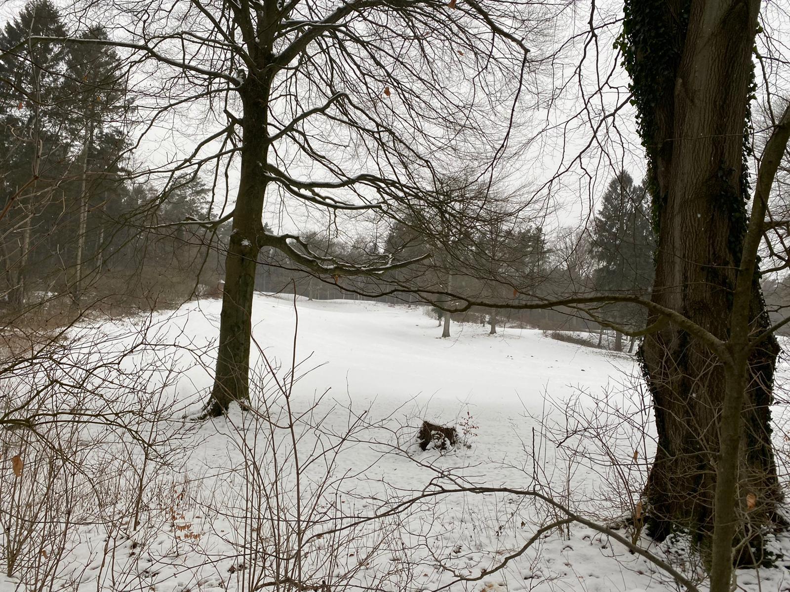 Photo of Hamburger Land & Golf Club Hittfeld e.V.